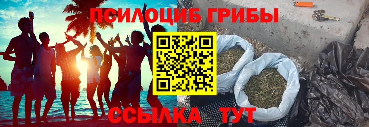 Галлюциногенные грибы мицелий Ахтубинск