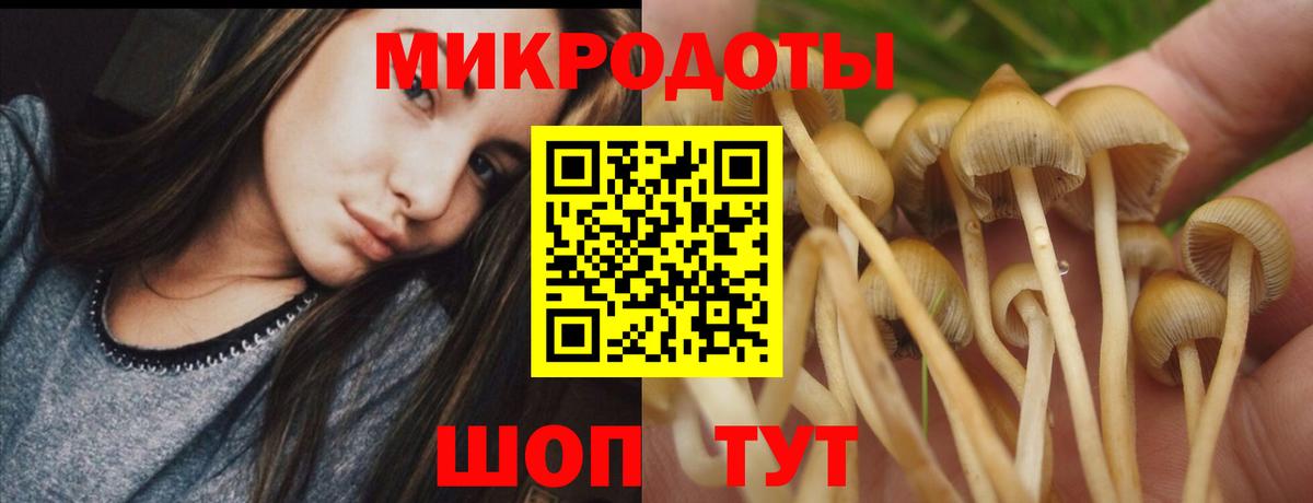 Ахтубинск  Псилоцибиновые грибы GOLDEN TEACHER  Вход с VPN  Галлюциногенные грибы ЛСД 